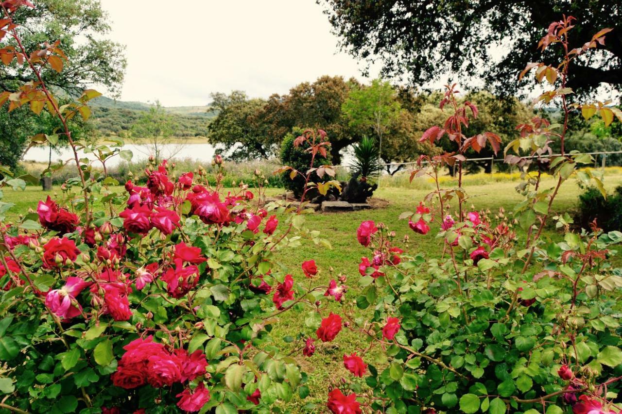 Casa Rural Alcornocalejo Monesterio Ngoại thất bức ảnh